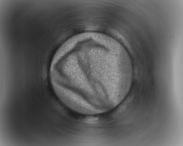 X0000089710257200707201806