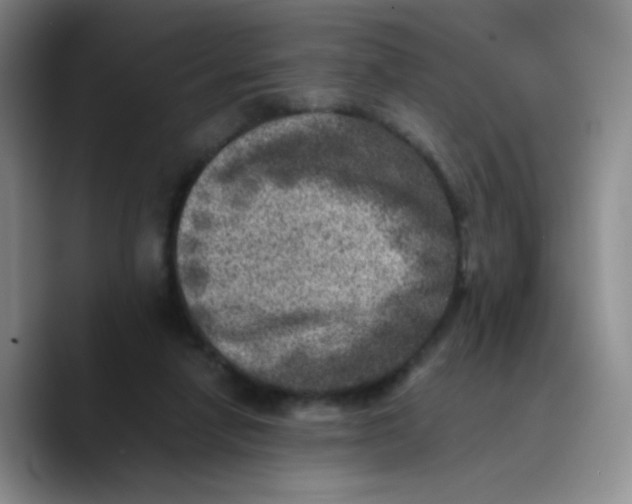 X0000089710258200707201806
