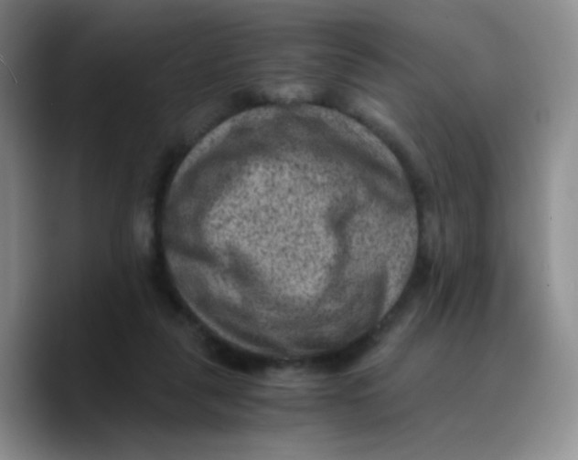 X0000089710259200707201806