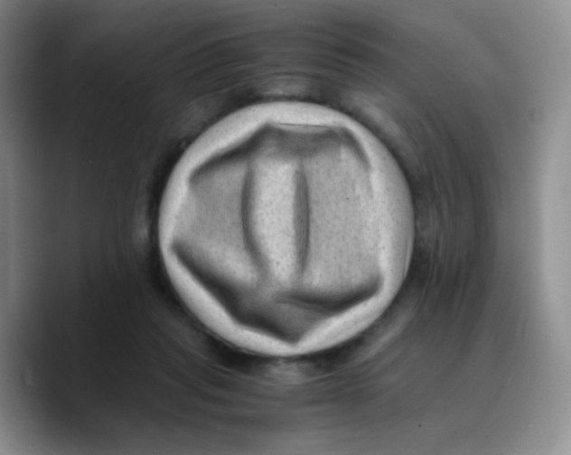 X0000089710261200707201806