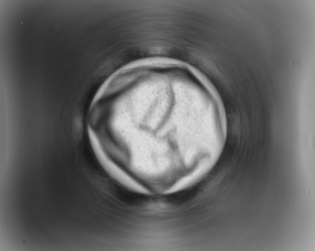 X0000089710262200707201806