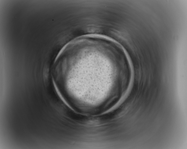 X0000089710263200707201806