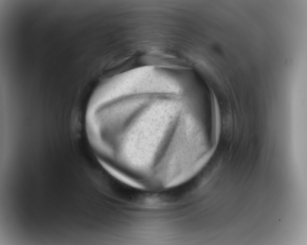 X0000089710264200707201806