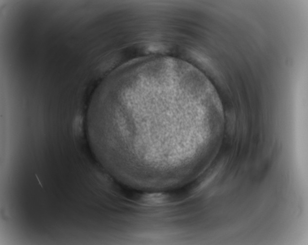 X0000089710269200707201806