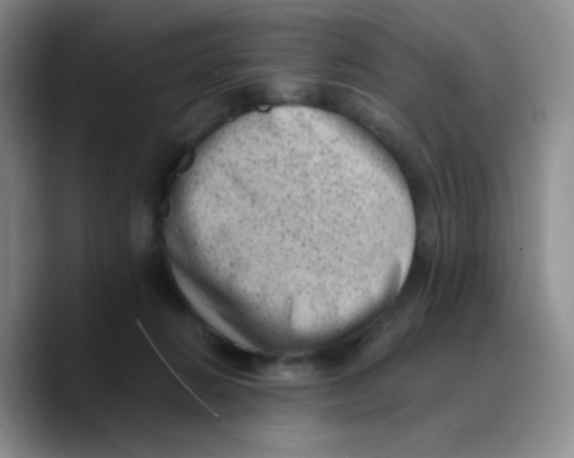 X0000089710270200707201806