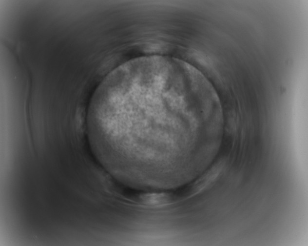 X0000089710273200707201806