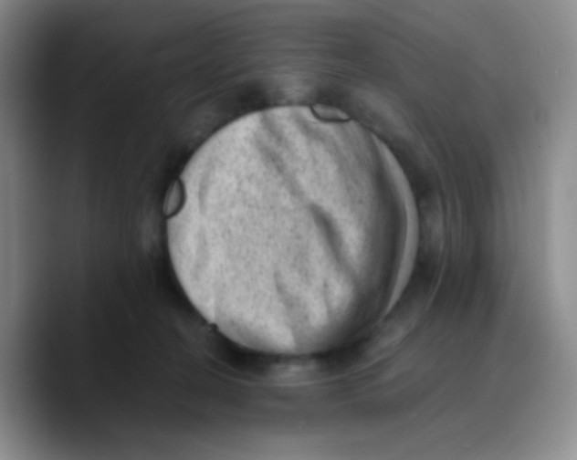 X0000089710274200707201806