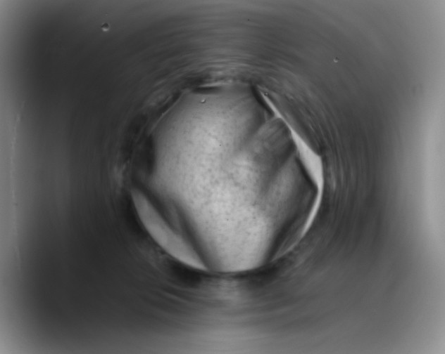 X0000089710276200707201806