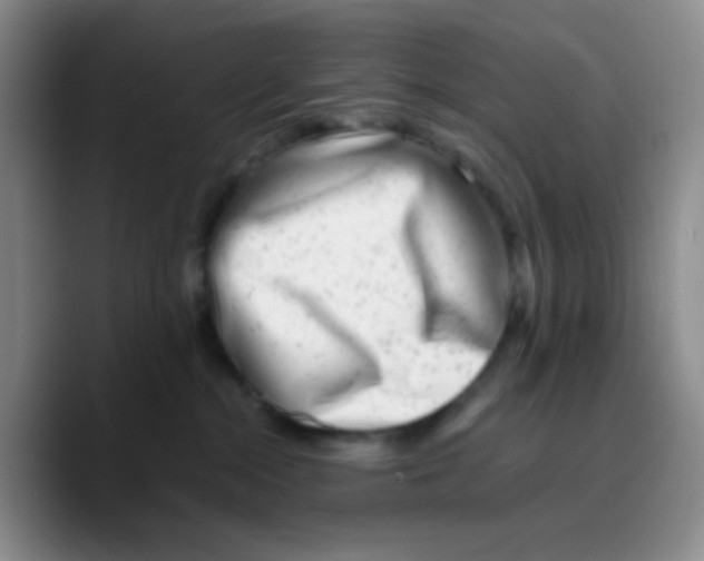 X0000089710284200707201807