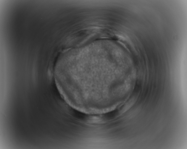 X0000089710285200707201807