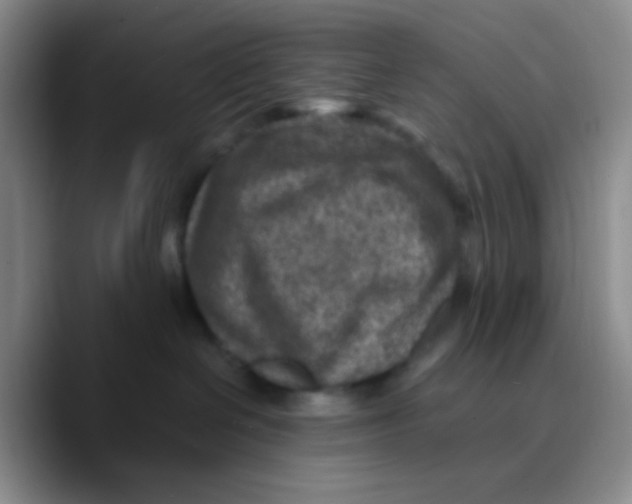 X0000089710286200707201807