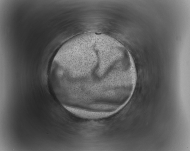 X0000089710290200707201806