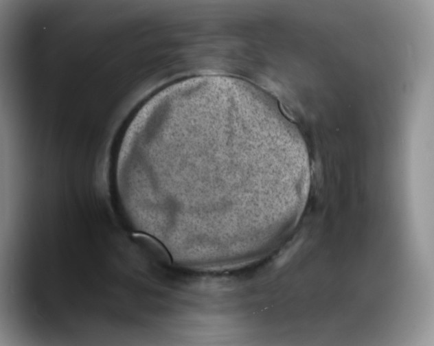 X0000089710292200707201806