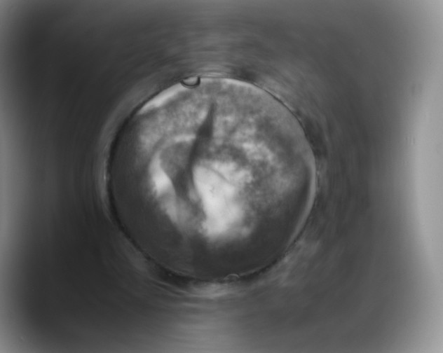 X0000089710293200707201806