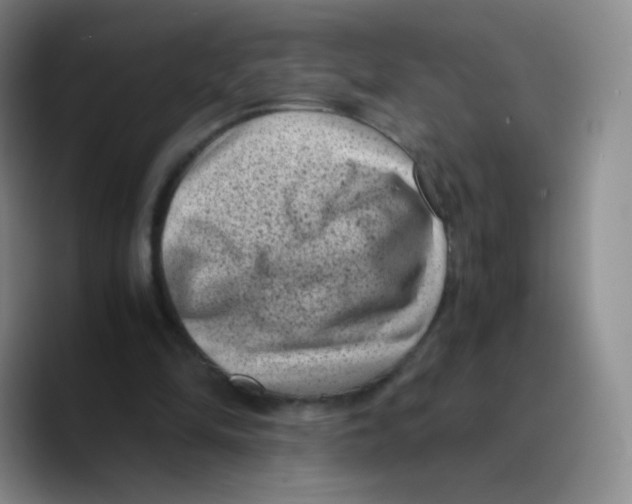 X0000089710294200707201806