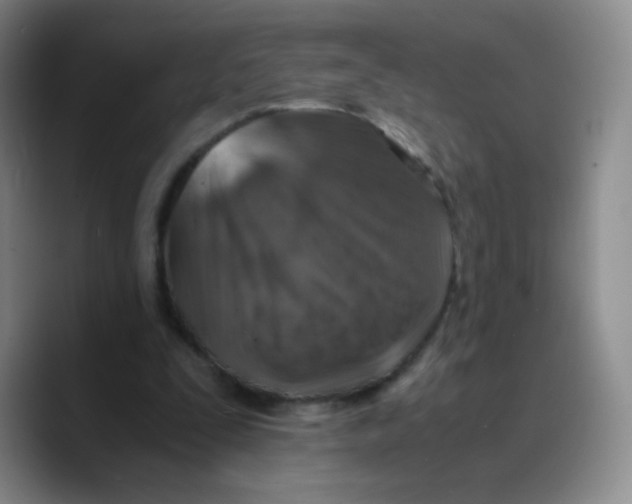 X0000089710295200707201806