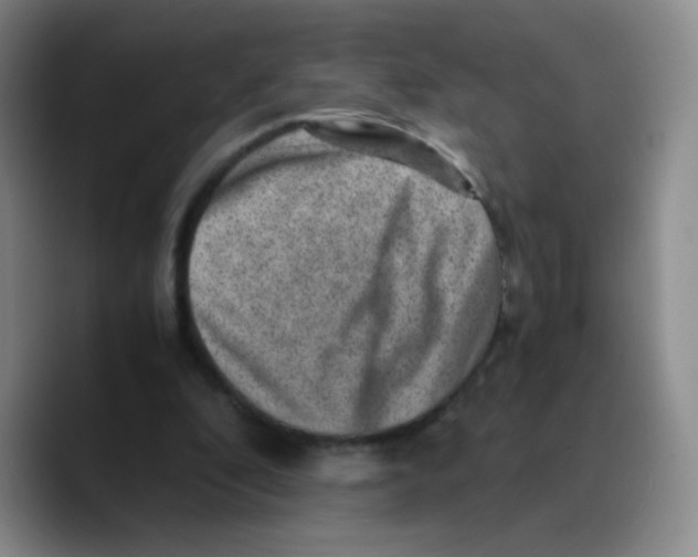 X0000089710296200707201806