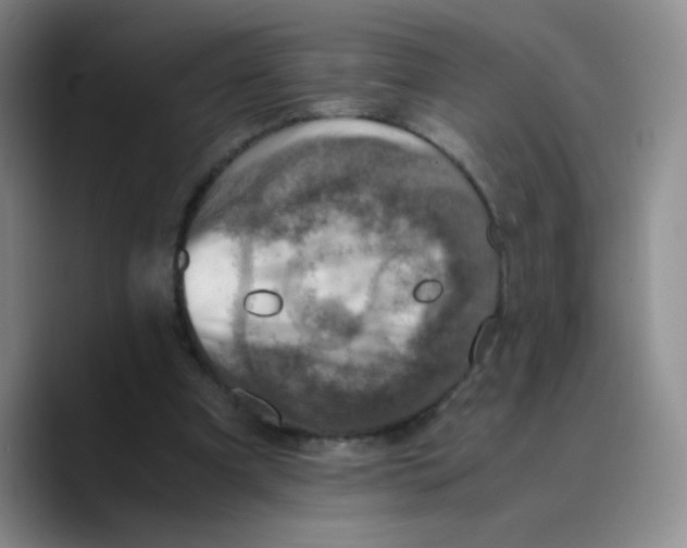 X0000089710297200707201806