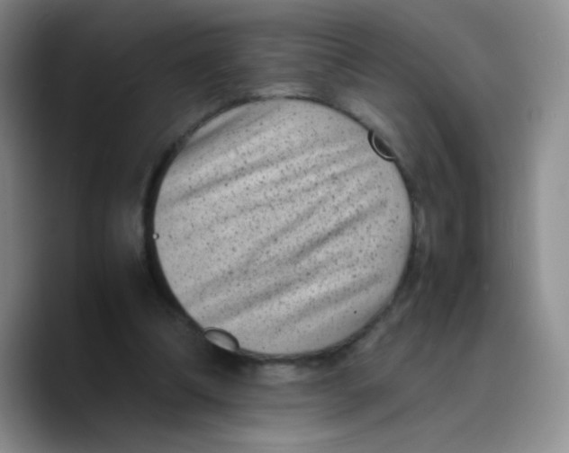 X0000089710298200707201806