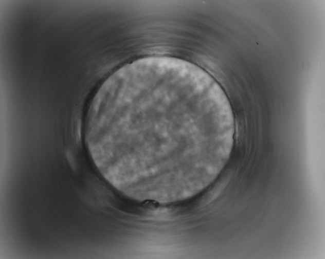 X0000089710301200707201806