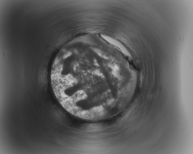 X0000089710303200707201806