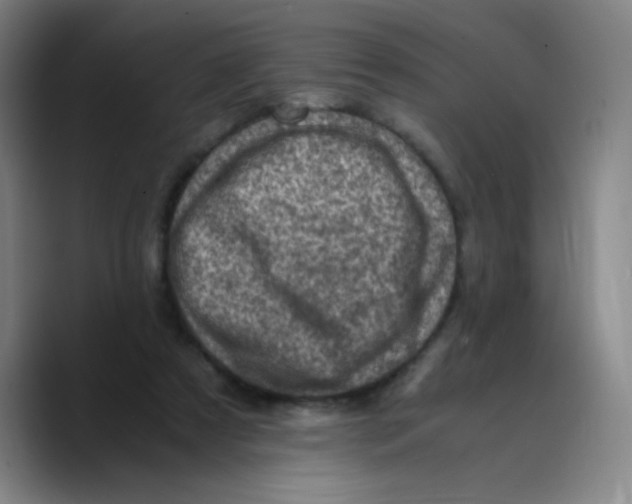 X0000089710305200707201806