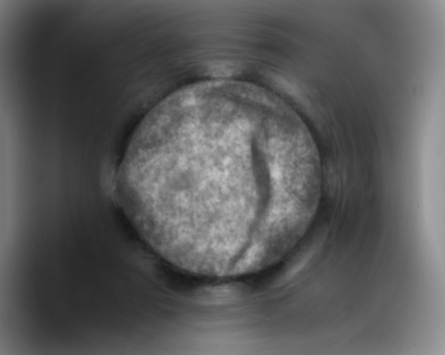 X0000089710307200707201806
