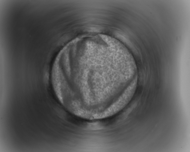 X0000089710309200707201806