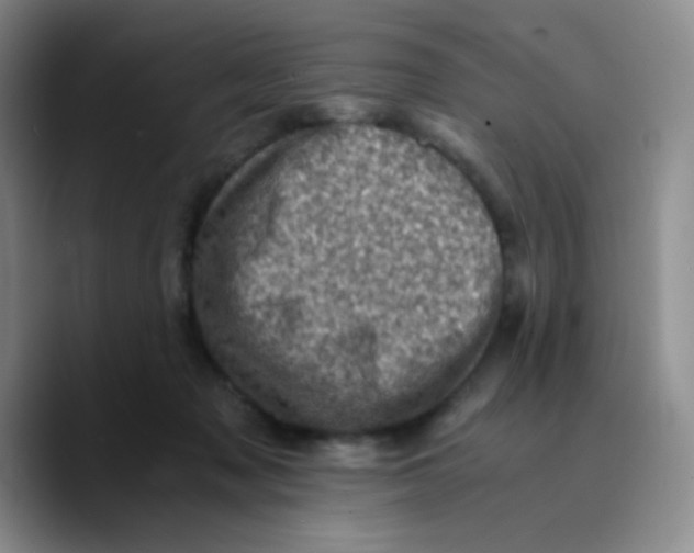 X0000089710317200707201806