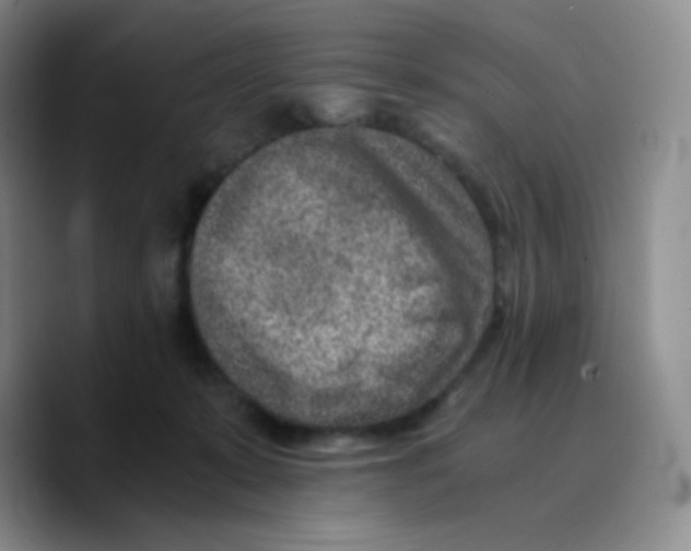 X0000089710319200707201806
