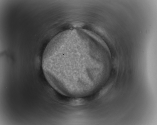 X0000089710321200707201806