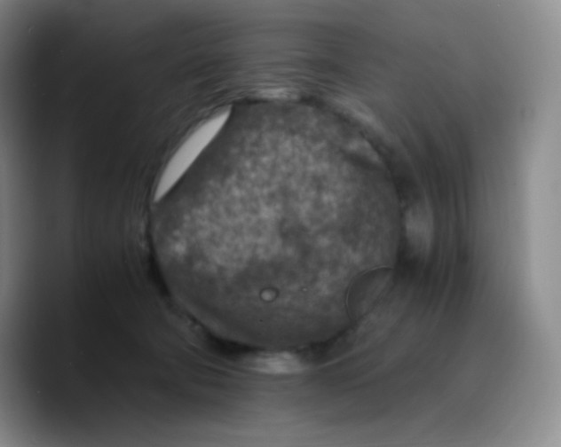 X0000089710322200707201806