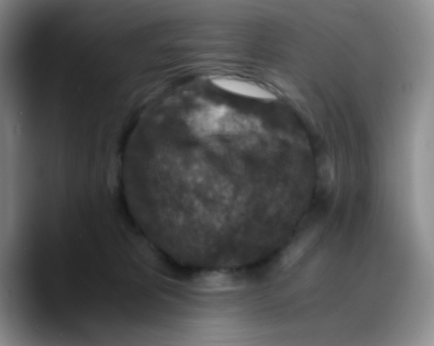 X0000089710325200707201806