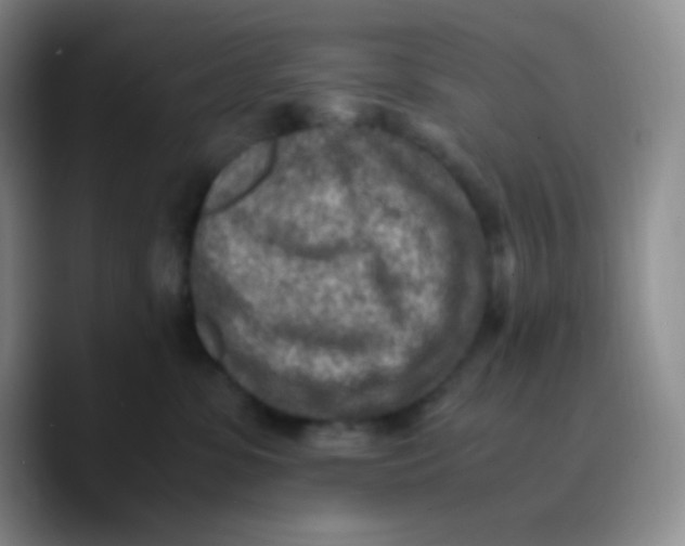 X0000089710331200707201805