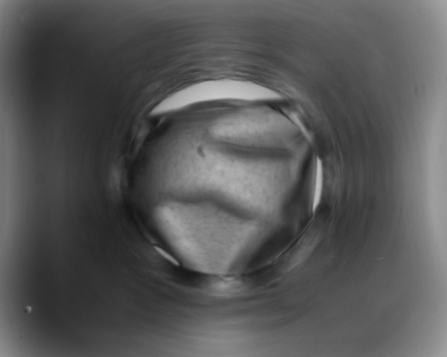 X0000089710333200707201805