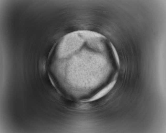 X0000089710334200707201805