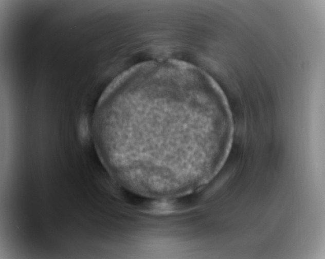 X0000089710335200707201805