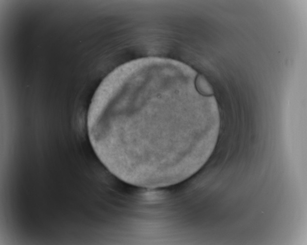 X0000089710336200707201805