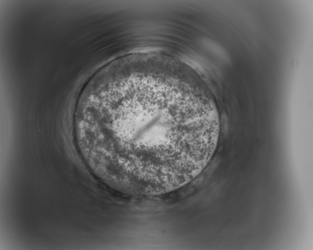 X0000089710337200707201805