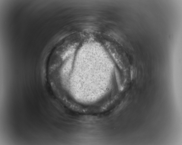 X0000089710339200707201805