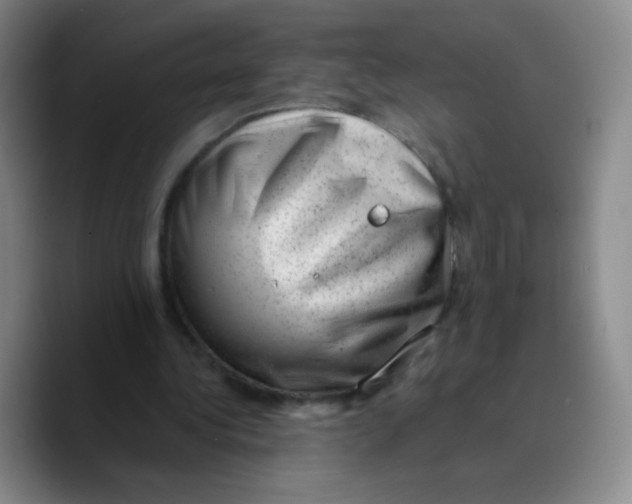 X0000089710340200707201805