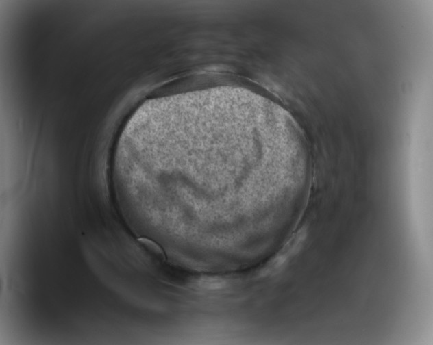 X0000089710341200707201805