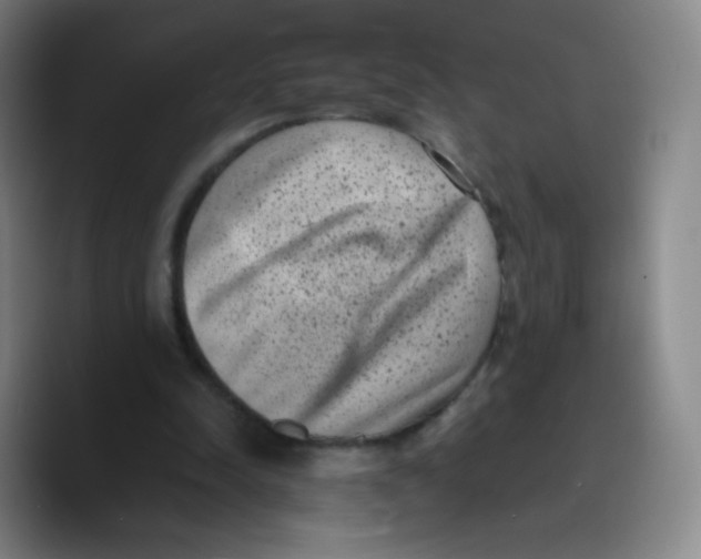 X0000089710342200707201805