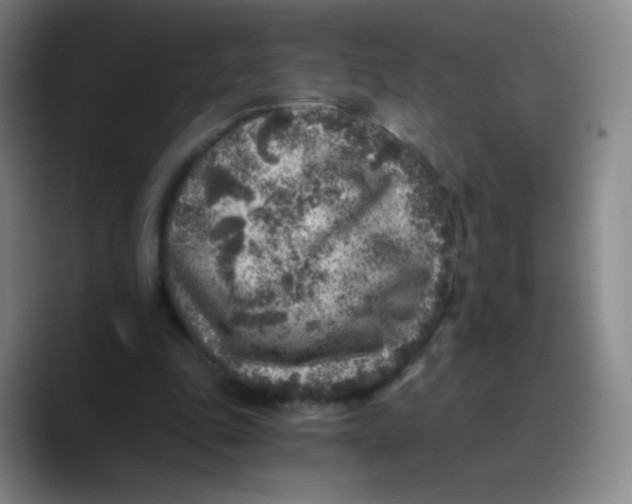X0000089710343200707201805