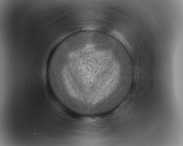 X0000089710346200707201805