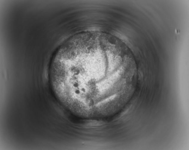 X0000089710347200707201805