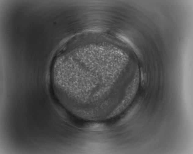 X0000089710348200707201805