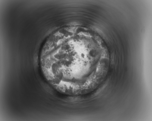 X0000089710351200707201805