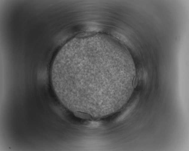 X0000089710352200707201805