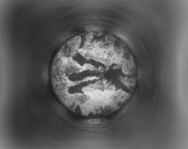 X0000089710353200707201805